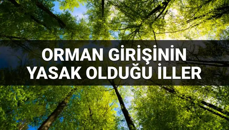 2025'te Ormana Girişi Yasaklanan İller: Hangi Şehirlerde Dikkat Edilmeli?