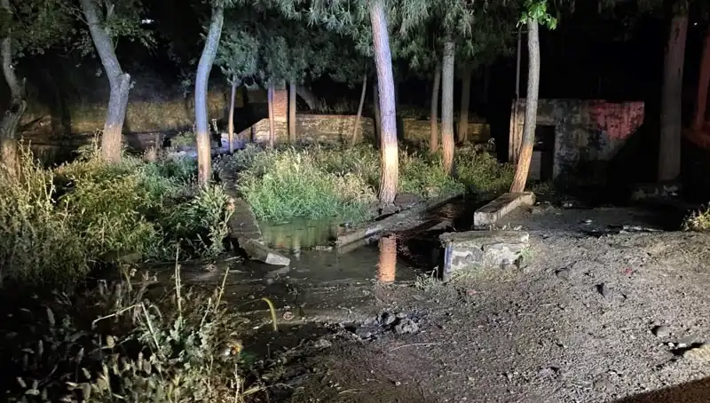 Manisa'da Parkta Şüpheli Ölüm: Hayatını Kaybeden Gençten Korkutan Detaylar