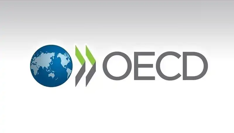 Türkiye Ekonomisi İçin OECD'den Umut Verici Büyüme Tahmini