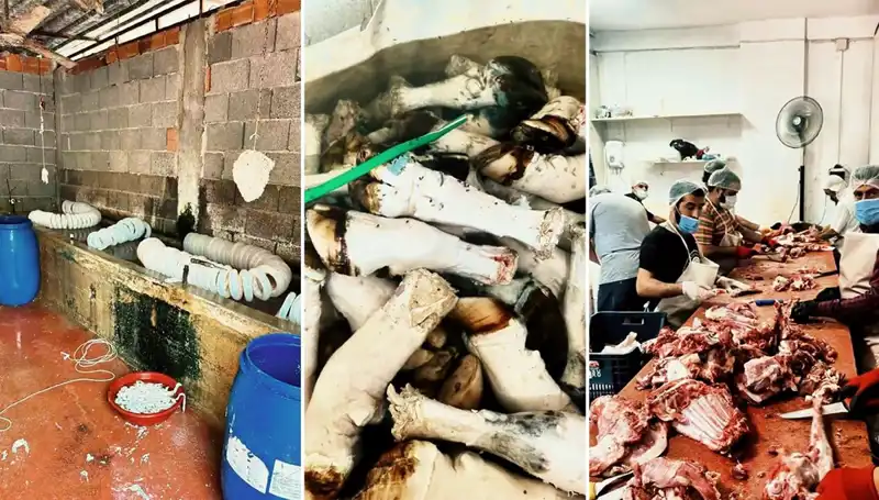 Adana’da Şok Eden Olay: Yüzlerce Kilo Paça Ele Geçirildi