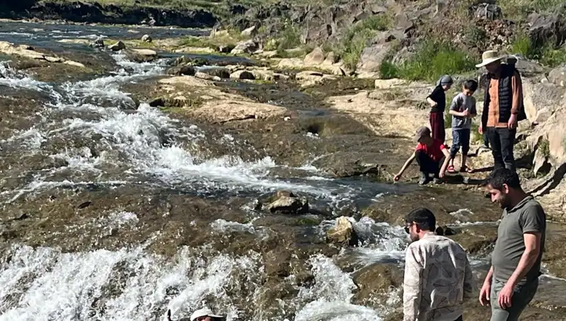 İnci Kefalinin Göçü: Doğa Harikası Turistleri Bekliyor
