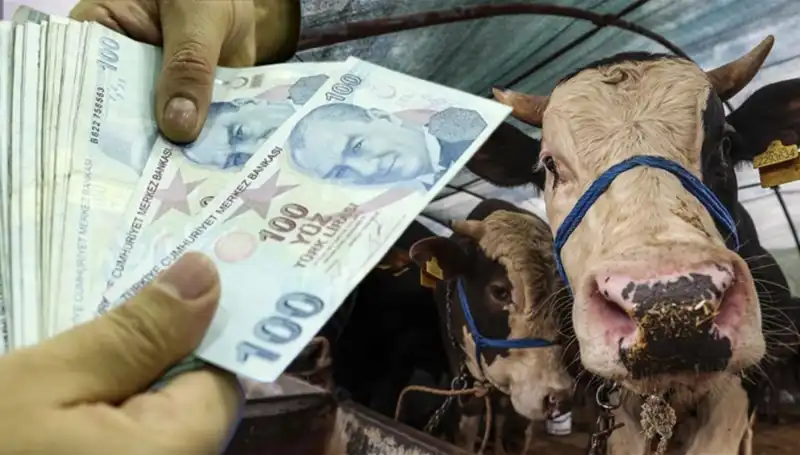 Kurban Bayramı Öncesi Maaşlar Yatacak mı? Cevap Burada!