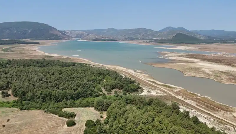 İzmir’de Alarming Decline: Significant 50% Decrease in Local Safety Standards