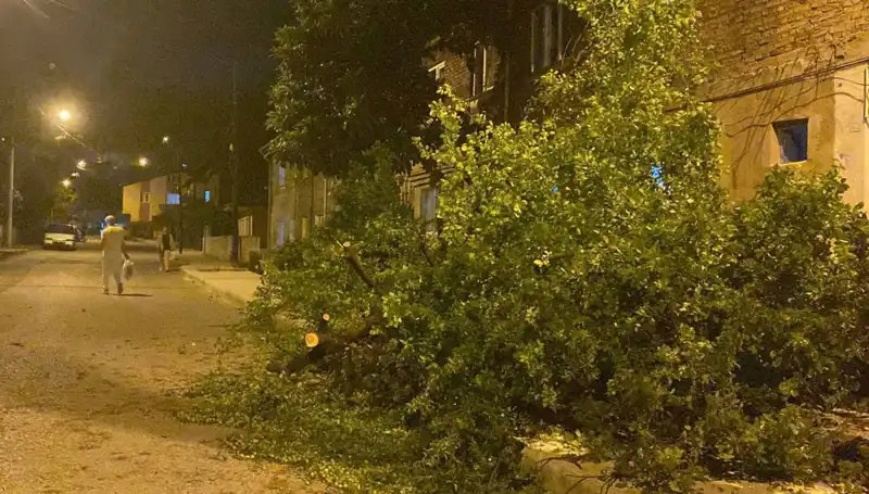 Karabük'te Fırtına Alarmı: Son Durum ve Etkileri Neler?