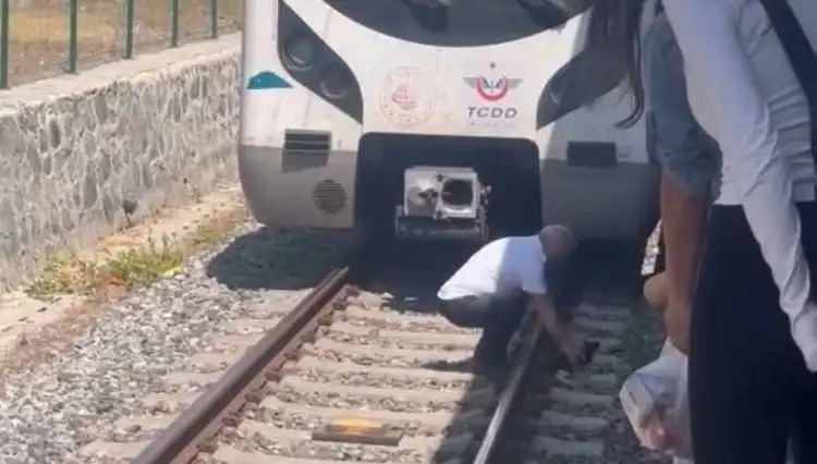 Marmaray Makinisti, Raylardaki Kediyi Fark Edince Duran Trenin Kahramanı Oldu