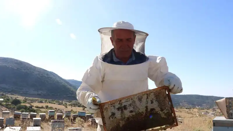 25 Yıl Sonra Mobilya Yerine Tarım: Mucit Şirket Sahibi 2 Ton Üretti