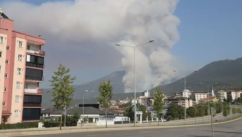 Denizli’de Orman Yangını: Bir Şüpheli Gözaltına Alındı!