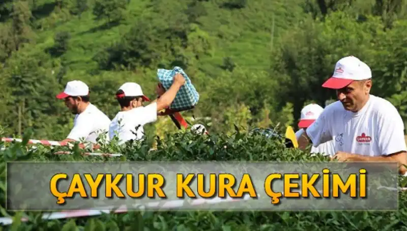 Çaykur Kura Sonuçları: Canlı İzle ve İsim Listesine Nasıl Ulaşılır?
