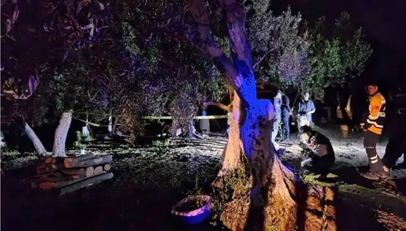 Çiftlikte Baltalı Vahşet: Sır Perdesi Aralanıyor!