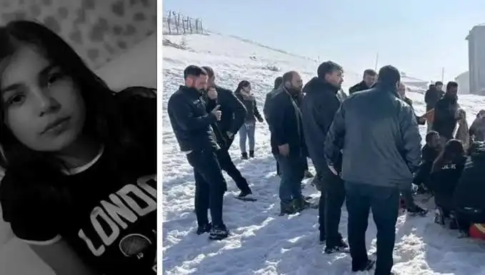Yüksekova'da Köpek Saldırısında Trajik Ölüm: Belediye Başkanı Hakkında Soruşturma Başlatıldı