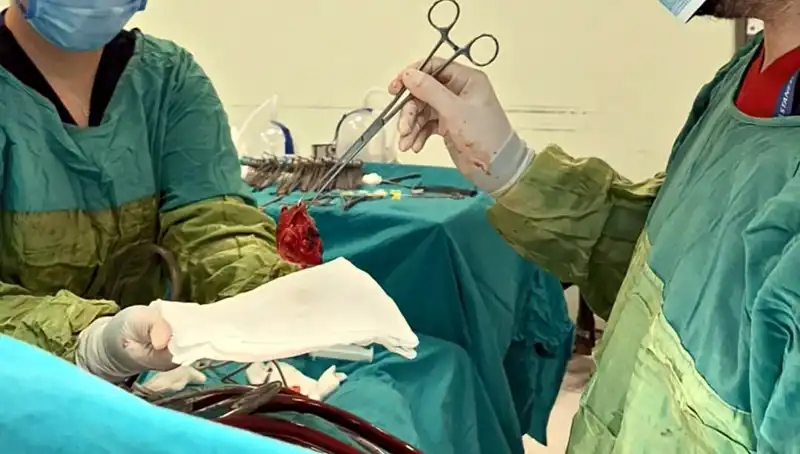 Kalp Kapağı Çürüyen Hastaya 7 Saatlik Ameliyat: Uzmanlar "Mucize" Dedi