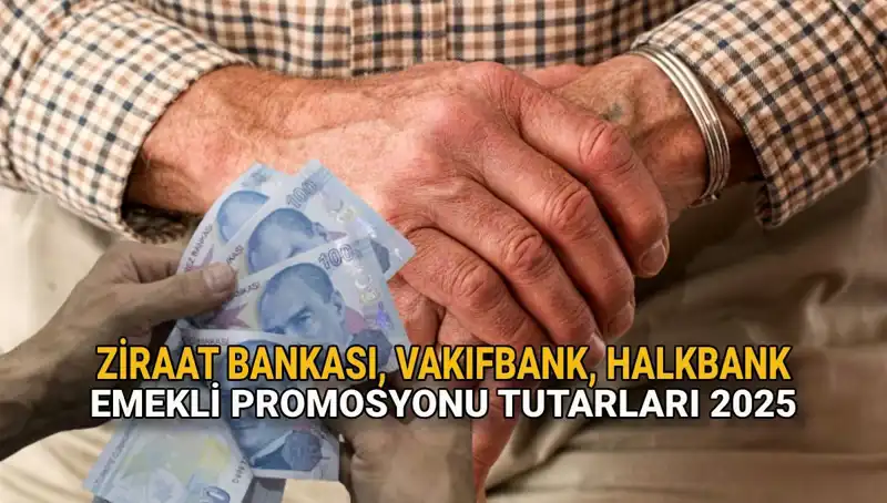 2025'te Emekliler için Banka Promosyonları: Kamu Bankalarının Öne Çıkan Teklifleri
