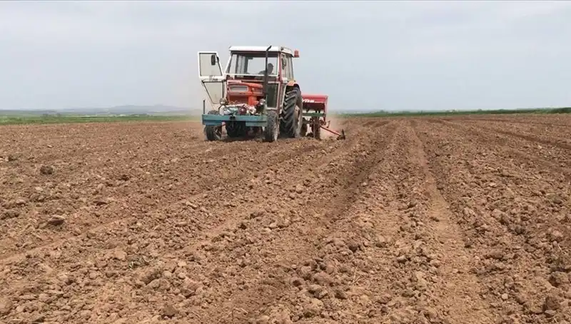 Son 35 Yılın En Kurak Mart Ayı: Yağış Noktasında Tarihi Düşüş