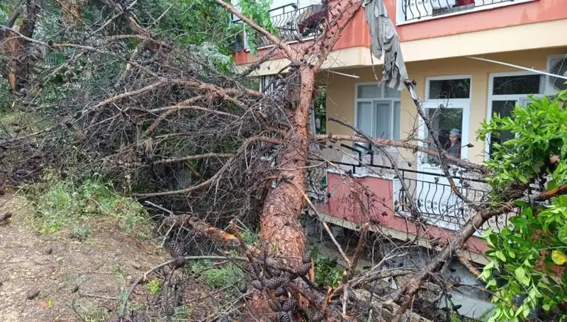 Şiddetli Yağmur Sonrası Bina Çöktü: Tatbikatta Neler Oldu?