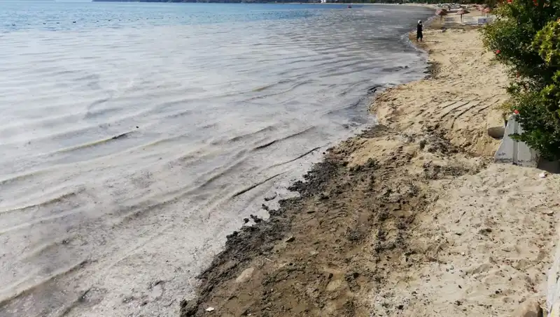 Müsilaj İle Mücadelede Şok Gelişme: 268 İşletme Kapatıldı