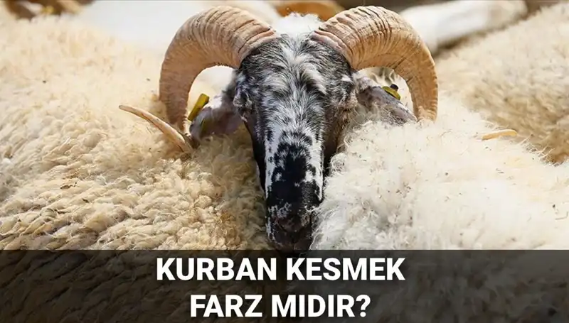 Kurban Kesmek Farz mı? Diyanet’in Görüşü ve Şartları Neler?