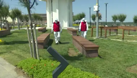 Kene Tehlikesi Artıyor: Halka Açık Alanlar İlaçlanıyor