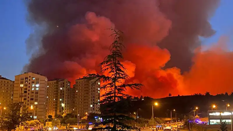 Bursa'da Yangınlar Şehri Sarmaladı: Korkutan Gelişmeler ve Önlemler