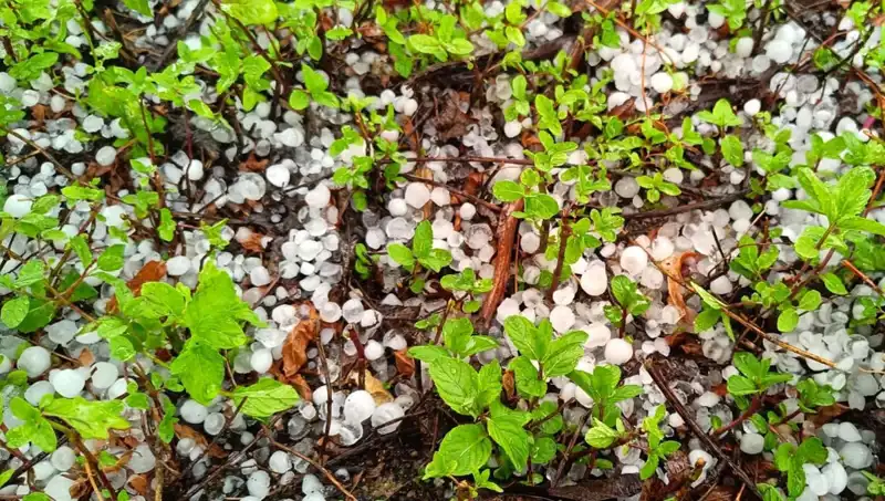 Dolu İle Gelen Şok: Temmuz Ortasında Beklenmedik Doğa Olayı